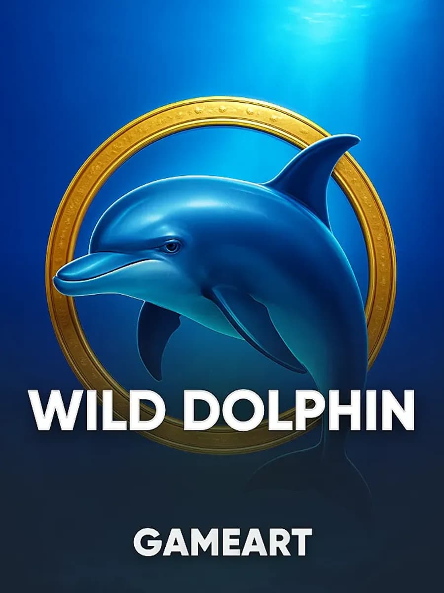 Wild Dolphin