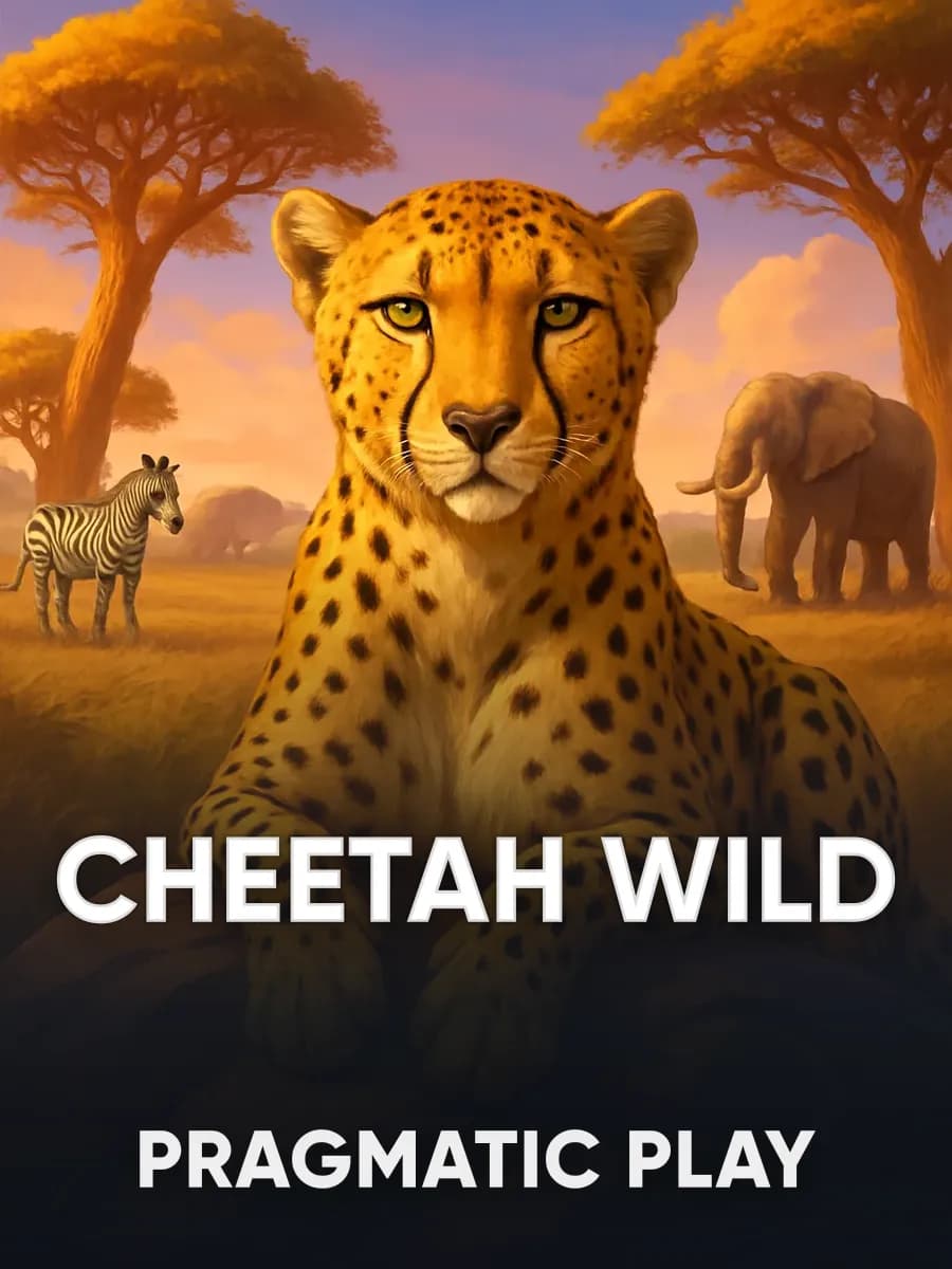 Cheetah Wild