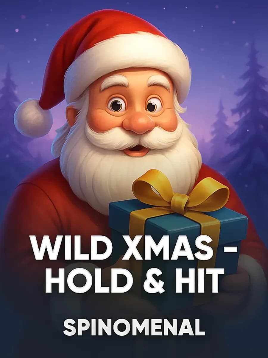 Wild Xmas - Hold & Hit